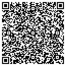 QR code with Cronin Financial Group contacts
