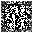 QR code with Cognoscente Systems contacts