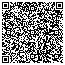 QR code with Boulevard Paints Inc contacts