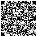 QR code with Cleario Corporation contacts