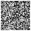 QR code with Princeton Gamma Tech contacts