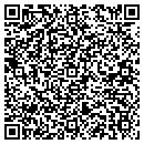 QR code with Process Coatings LLC contacts