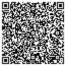 QR code with Ppg Paints 9478 contacts