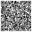 QR code with Project Solutions contacts