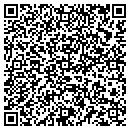 QR code with Pyramid Computer contacts