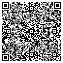 QR code with Pyrasoft Inc contacts