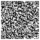 QR code with Esembe Technical Services contacts