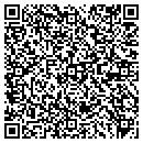 QR code with Professional Computer contacts