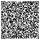 QR code with Ppg Pittsburgh Paints contacts