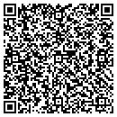 QR code with Colorwave Painting CO contacts