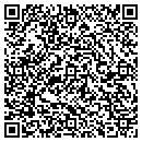 QR code with Publication Concepts contacts