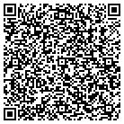 QR code with Blackrock Networks Inc contacts