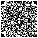QR code with Cybear Security Inc contacts