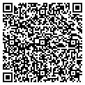QR code with Dales contacts
