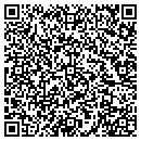 QR code with Premium Technology contacts
