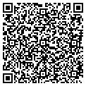 QR code with Lily contacts