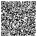 QR code with Big Networking Inc contacts
