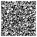 QR code with Cynest Solutions Inc contacts