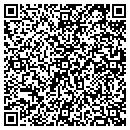 QR code with Premiere Collections contacts