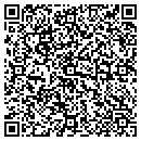 QR code with Premium Painting Services contacts