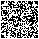 QR code with Career Counseling Inc contacts