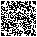 QR code with Professional Access Lt contacts