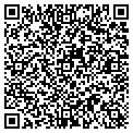 QR code with Paetec contacts