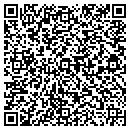 QR code with Blue Ridge Investment contacts
