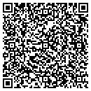 QR code with Stevens Dawn contacts