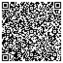 QR code with Primitive Paint contacts