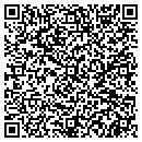 QR code with Professional Affordable P contacts