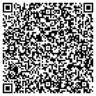 QR code with Pfm Data Solutions Inc contacts
