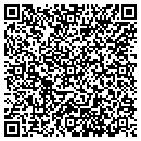 QR code with C&P Computer Service contacts