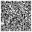 QR code with Pro Code Inc contacts