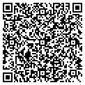 QR code with Todd D Little contacts
