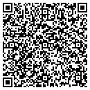 QR code with Pylypyshyn Dee contacts