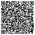 QR code with IBS INC contacts