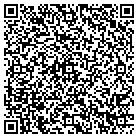 QR code with Brian J Casey Consultant contacts