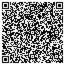 QR code with Cyberdot Co contacts