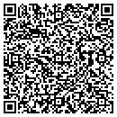 QR code with Pro-Analysis contacts