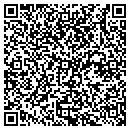 QR code with Pull-A-Part contacts