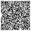 QR code with Cures 'n Curiosities contacts