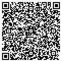 QR code with D&G Investment contacts