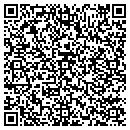 QR code with Pump Systems contacts