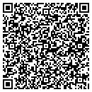 QR code with Cyntek Solutions Inc contacts