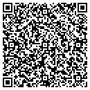 QR code with Protech It Solutions contacts