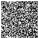 QR code with Csv Investments LLC contacts