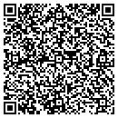 QR code with Cotopaxi Cmty Library contacts