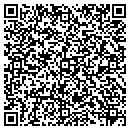 QR code with Professional Tutoring contacts