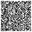 QR code with Practical Systems LLC contacts